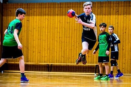 NSV-Handballer sind Vize-Landesmeister