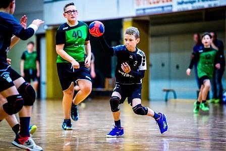 NSV-Handballer sind Vize-Landesmeister