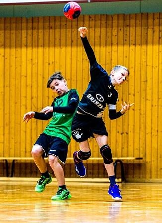 NSV-Handballer sind Vize-Landesmeister