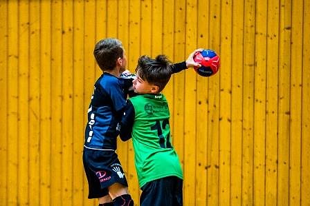 NSV-Handballer sind Vize-Landesmeister