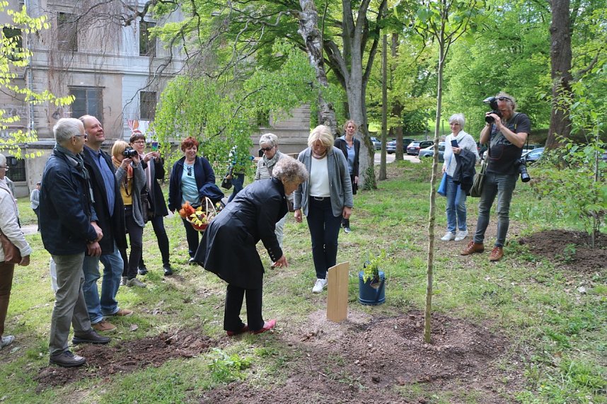 Eine &Auml;ra geht zu Ende - Gisela Hartmann wurde heute als Vorsitzende der B&uuml;rgerstiftung Park Hohenrode verabschiedet