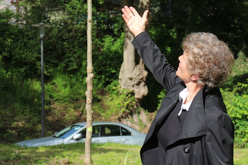 Eine &Auml;ra geht zu Ende - Gisela Hartmann wurde heute als Vorsitzende der B&uuml;rgerstiftung Park Hohenrode verabschiedet