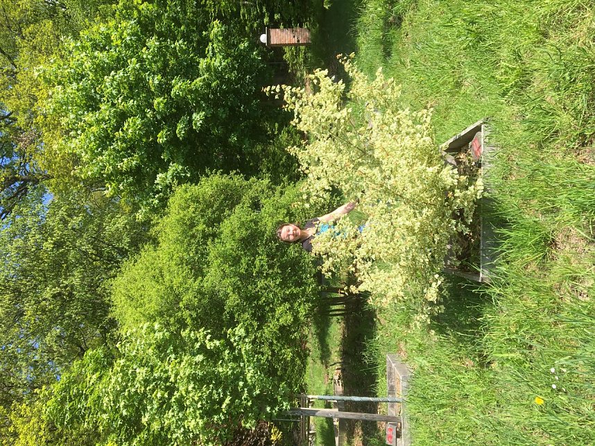 Im Ahornpark wird in Vorbereitung auf das Fest bereits flei&szlig;ig gewerkelt