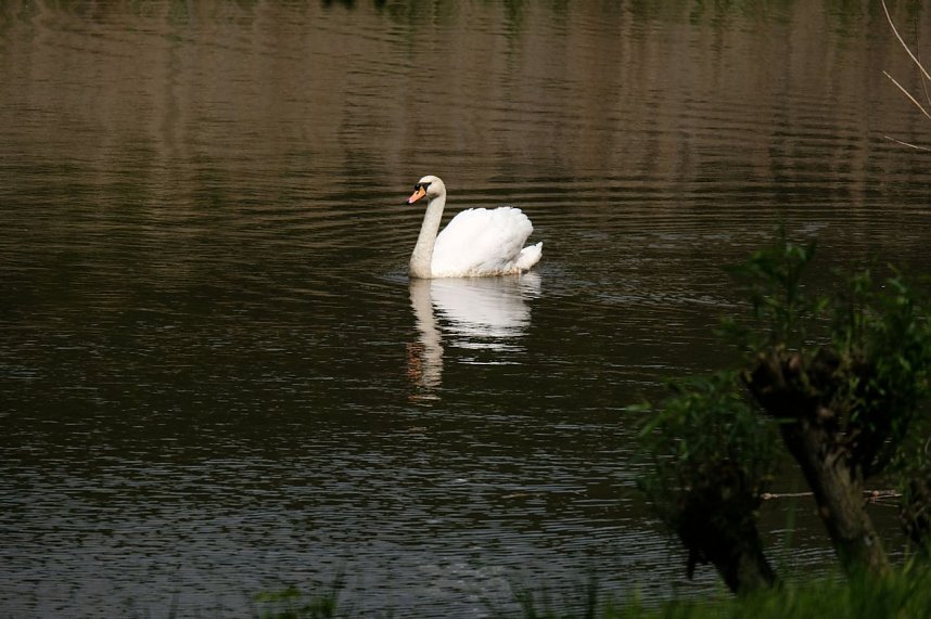 Peter Blei unterwegs in Neustadt