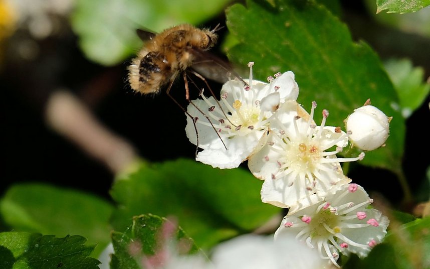 Peter Blei unterwegs in Neustadt