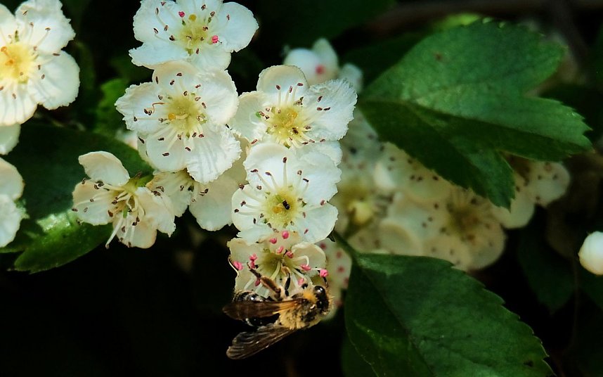 Peter Blei unterwegs in Neustadt