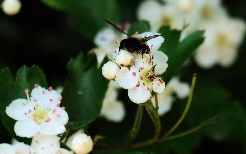 Peter Blei unterwegs in Neustadt