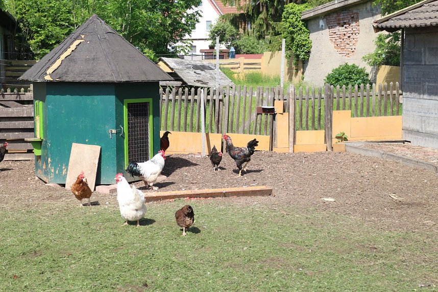 Besuch in der LandWerkstatt Heringen