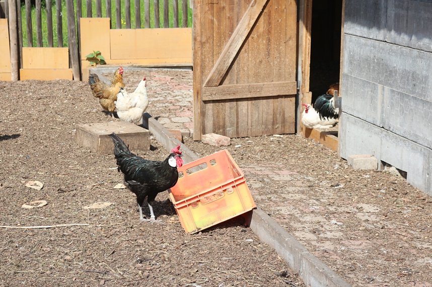 Besuch in der LandWerkstatt Heringen