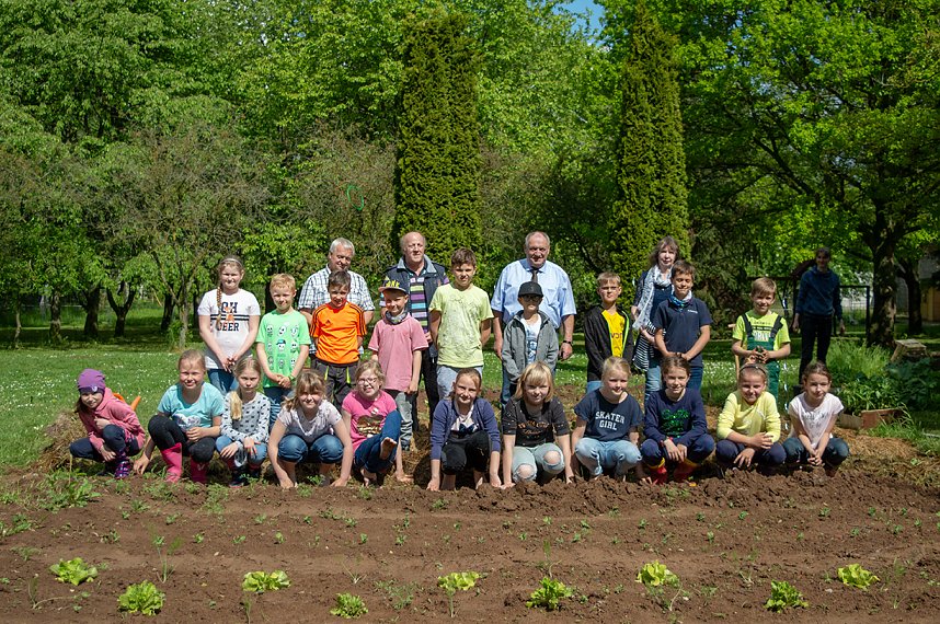 Gem&uuml;seackerdemie der Grundschule Niedergebra