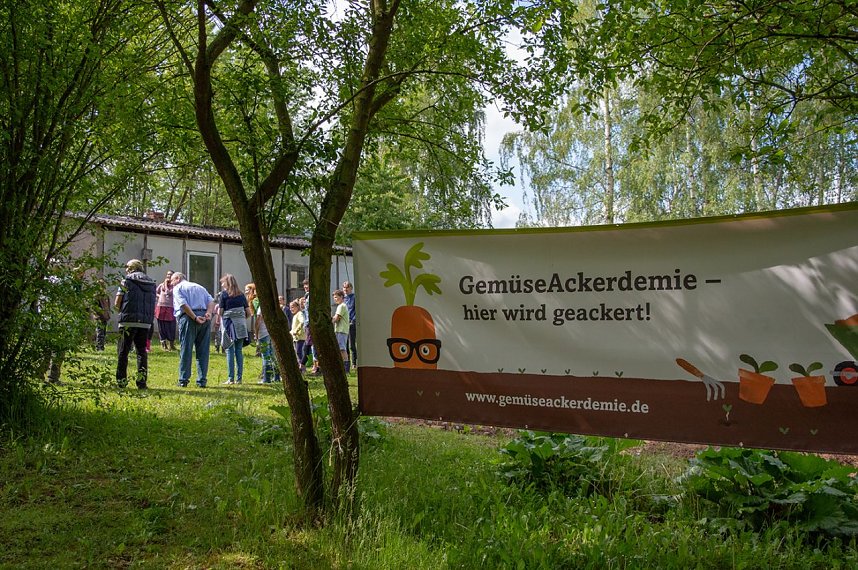 Gem&uuml;seackerdemie der Grundschule Niedergebra