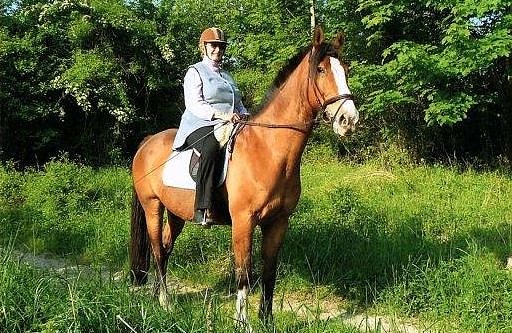 Heidi Freymark liebt Pferde und will auch mit 76 Jahren gern hoch zu Ross durch die Gegend reiten.