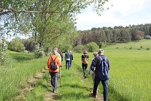 Durch frisches Gr&uuml;n im NSG Sattelk&ouml;pfe