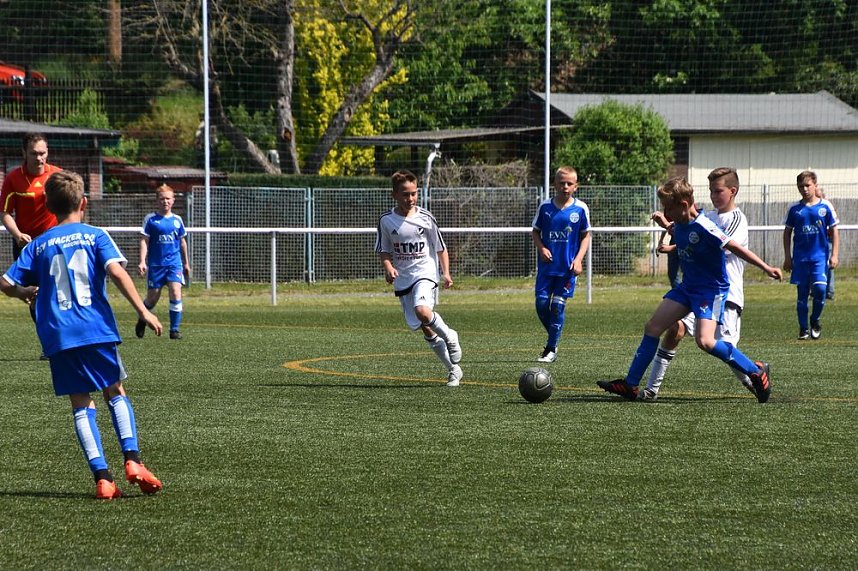 U 12 achtbar gegen Bad Langensalza