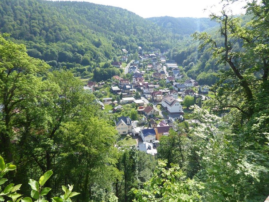 Schloss, Waffen, Haflinger, Reiterspiele, Stutenmilchlik&ouml;r