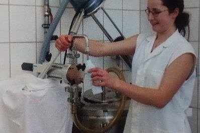 Schloss, Waffen, Haflinger, Reiterspiele, Stutenmilchlik&ouml;r