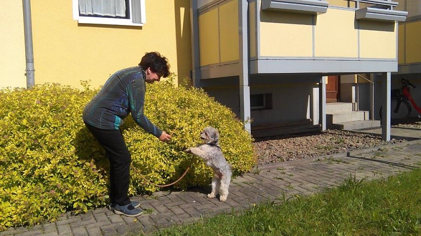 Gemeinsam wohnen, gemeinsam feiern