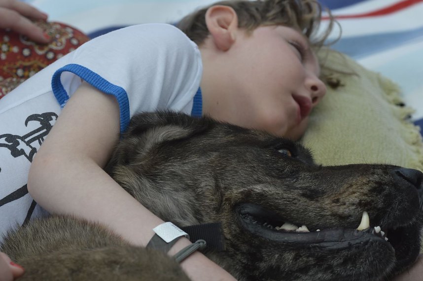 Picknick auf dem Possen