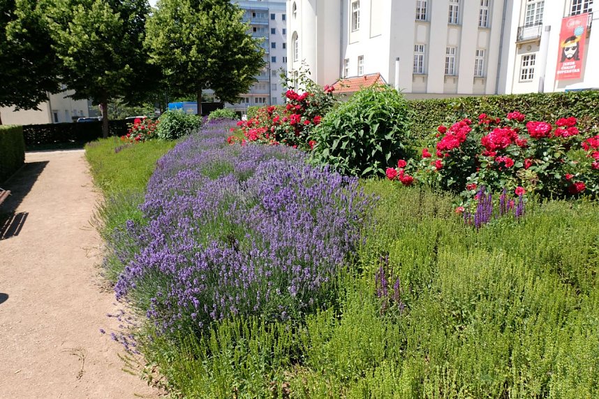 Farbenpracht und Schmetterlinge