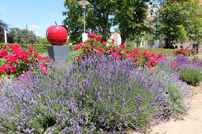 Farbenpracht und Schmetterlinge