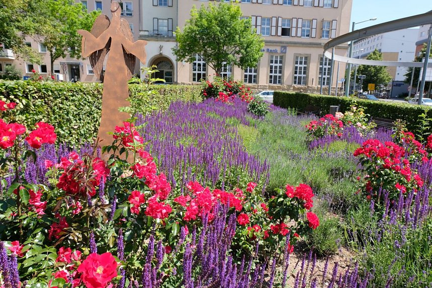 Farbenpracht und Schmetterlinge