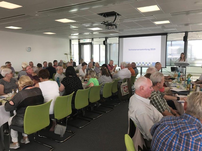 Vertreterversammlung