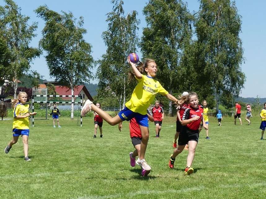 Erfolgreiche NSV-M&auml;dels