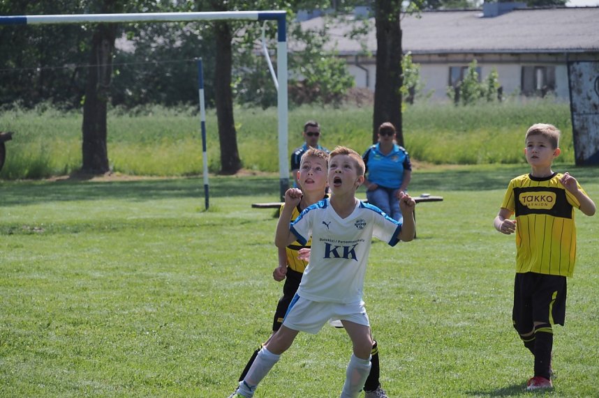 Doppel-Pokal-Erfolg f&uuml;r Wackers Nachwuchs