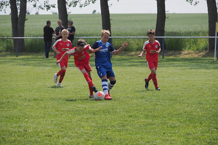 Doppel-Pokal-Erfolg f&uuml;r Wackers Nachwuchs