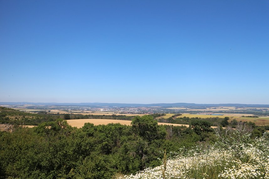 Sommerfest am Windpark