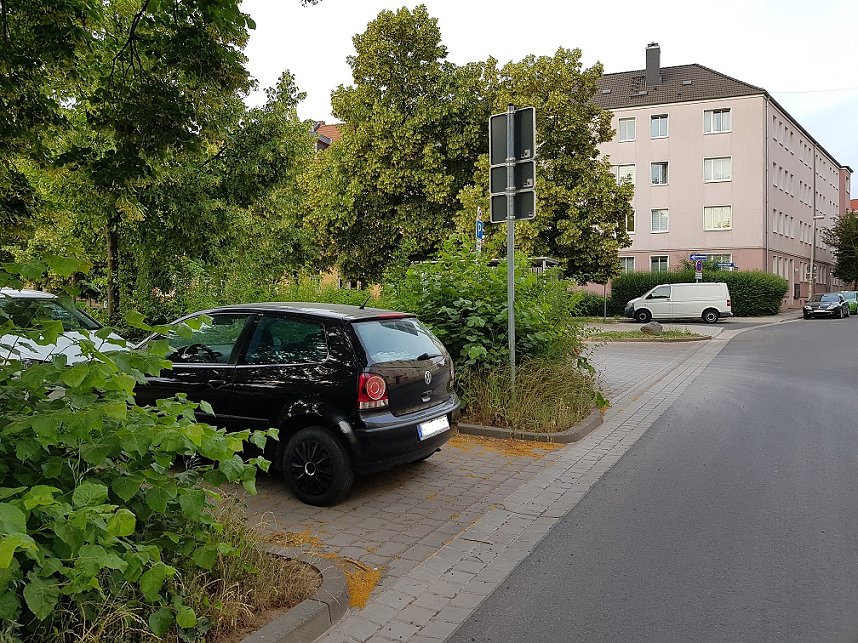 Mangelnde Pflege am August-Bebel-Platz