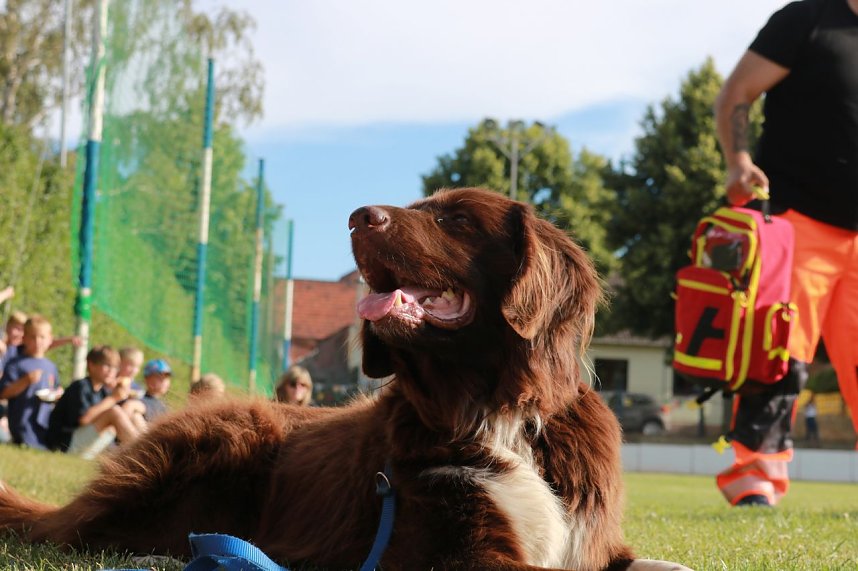 Blaulicht-Tag in Auleben