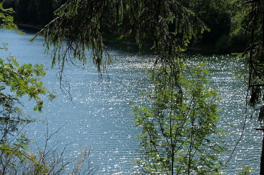 Peter Blei an der Neust&auml;dter Talsperre