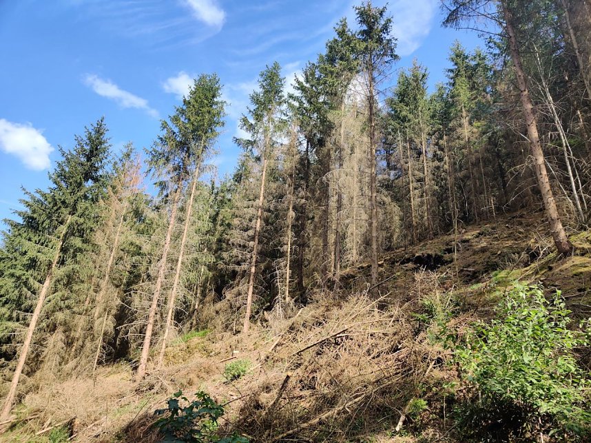 Peter Blei an der Neust&auml;dter Talsperre