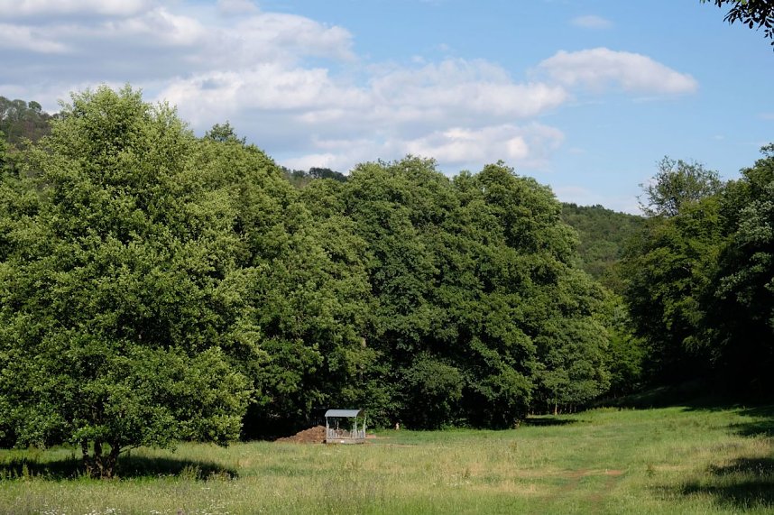 Peter Blei an der Neust&auml;dter Talsperre