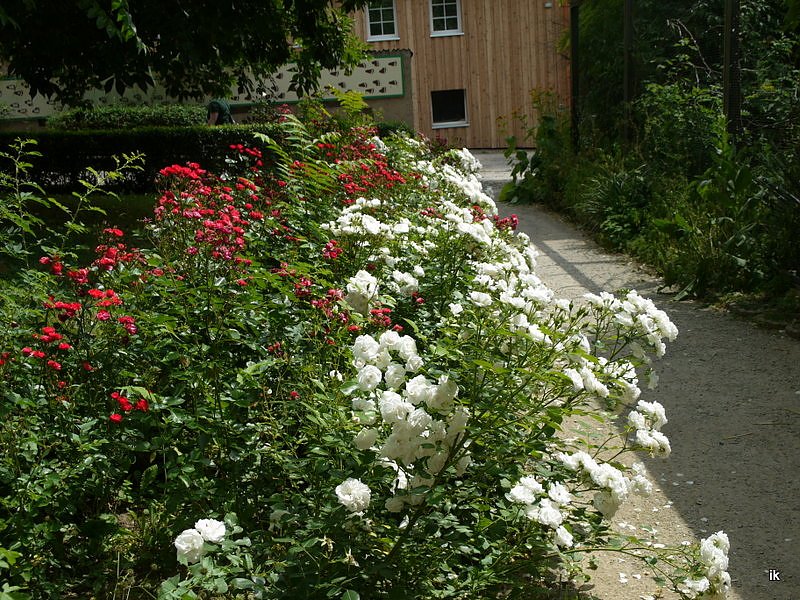 Spende f&uuml;r den B&auml;renpark