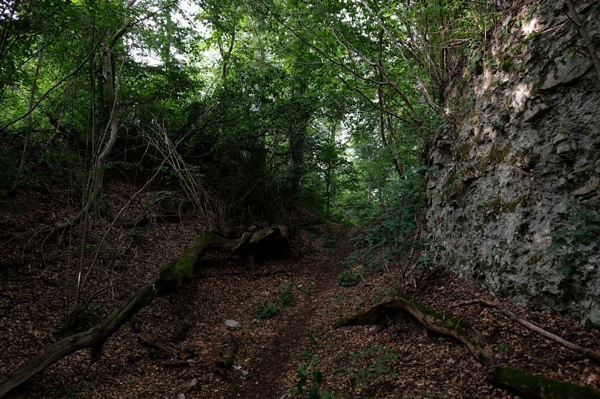 Unterwegs in Questenberg