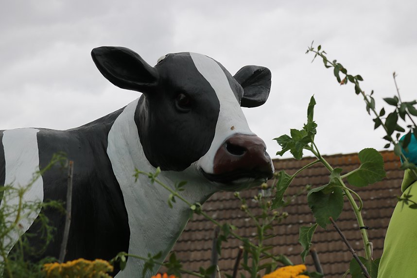 Gro&szlig;er Festumzug in Auleben