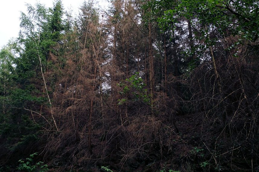 Peter Blei an der Hasselvorsperre