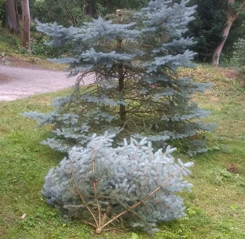 Vandalismus im Park Hohenrode