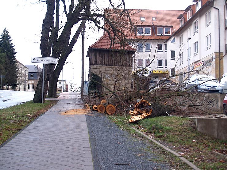 Der Tag danach - Wallrothstra&szlig;e