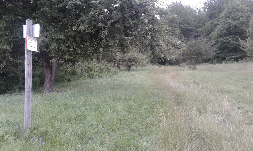 Qualit&auml;tswanderweg?