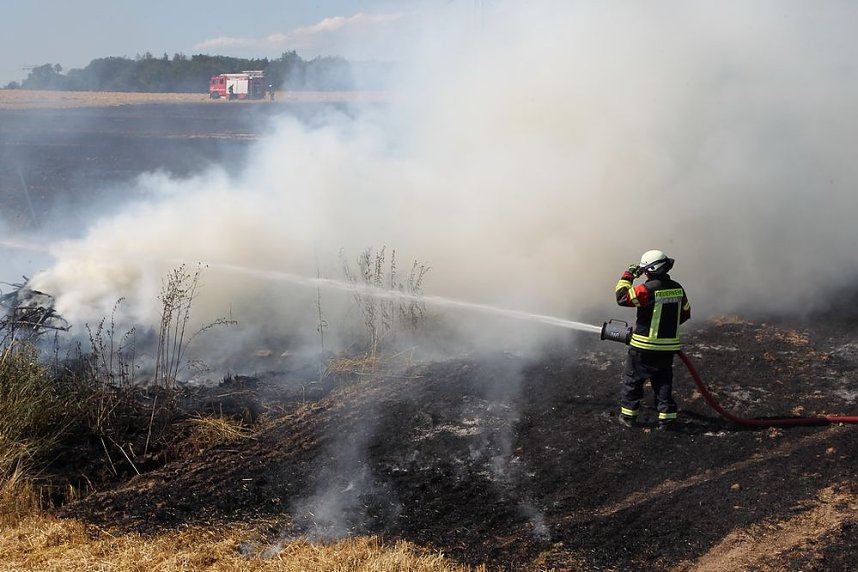 Brand in Neuheide