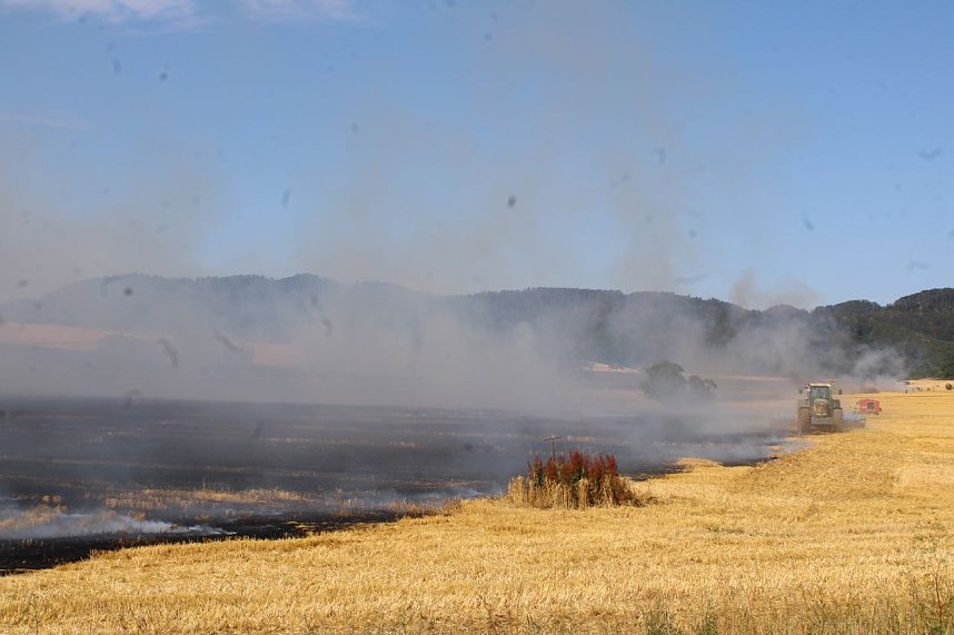 Gro&szlig;brand zwischen Ellrich und Werna