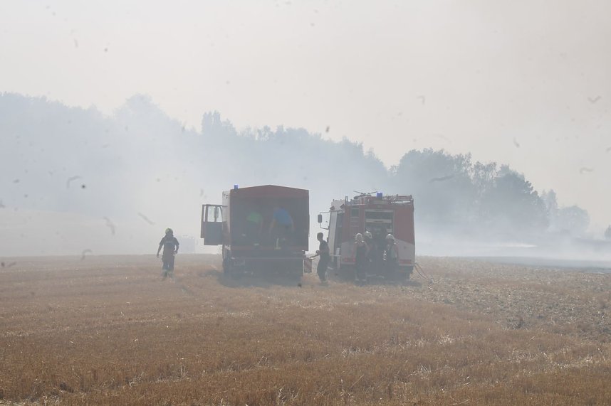 Gro&szlig;brand zwischen Ellrich und Werna
