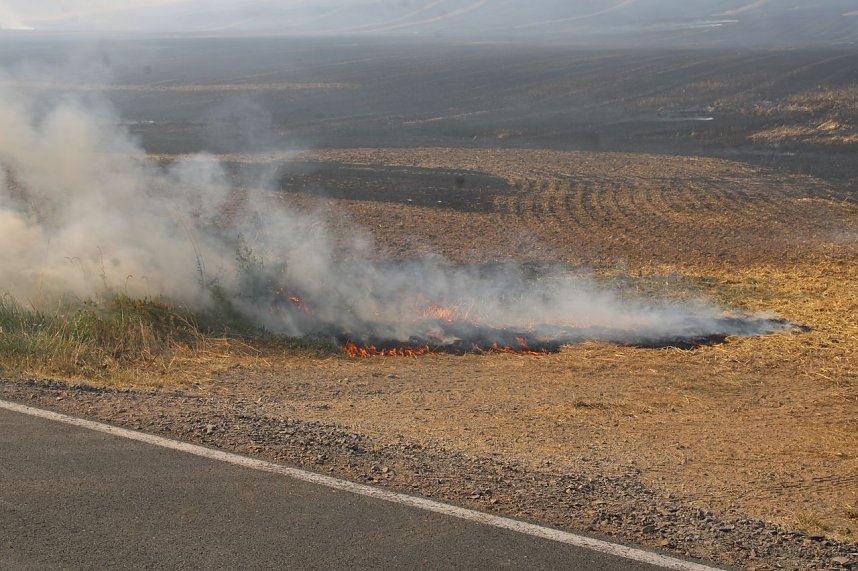Gro&szlig;brand zwischen Ellrich und Werna