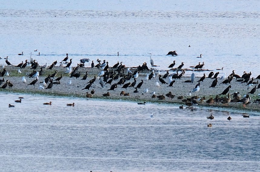 Peter Blei unterwegs am Stausee Kelbra