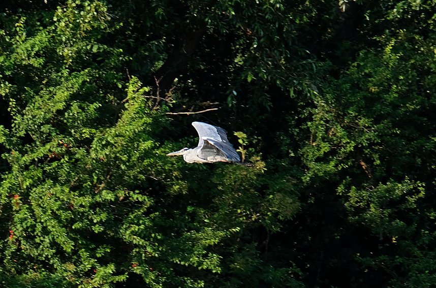 Peter Blei unterwegs am Stausee Kelbra