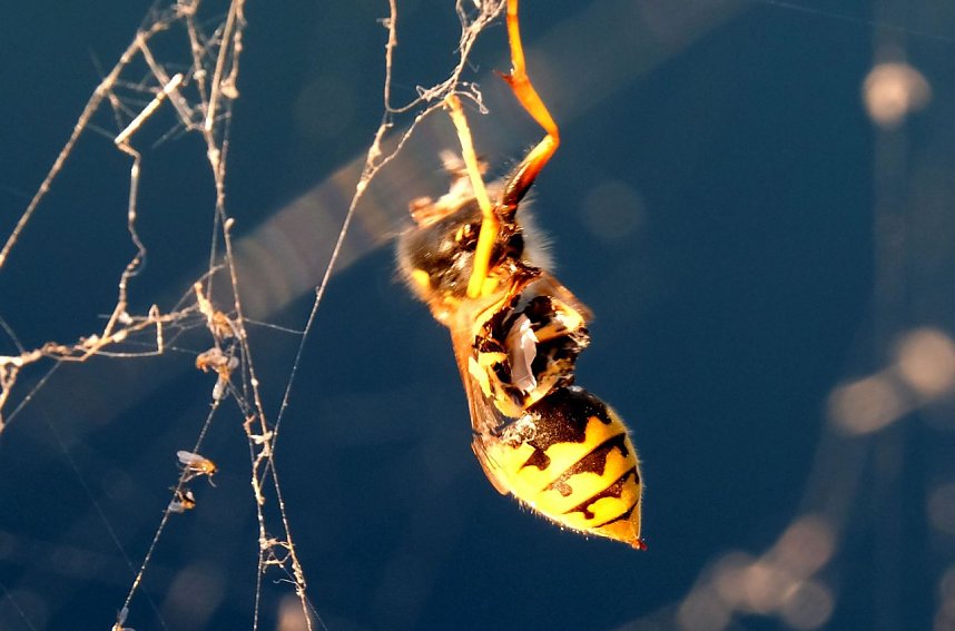 Peter Blei unterwegs am Stausee Kelbra