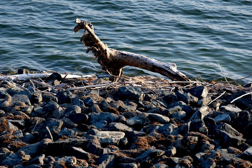Peter Blei unterwegs am Stausee Kelbra